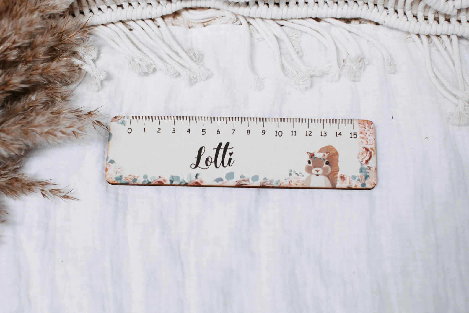 Lineal Eichhörnchen