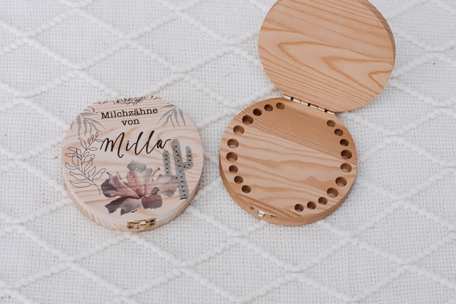 Milchzahndose Blume Kaktus