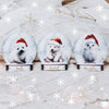 Schneekugeln